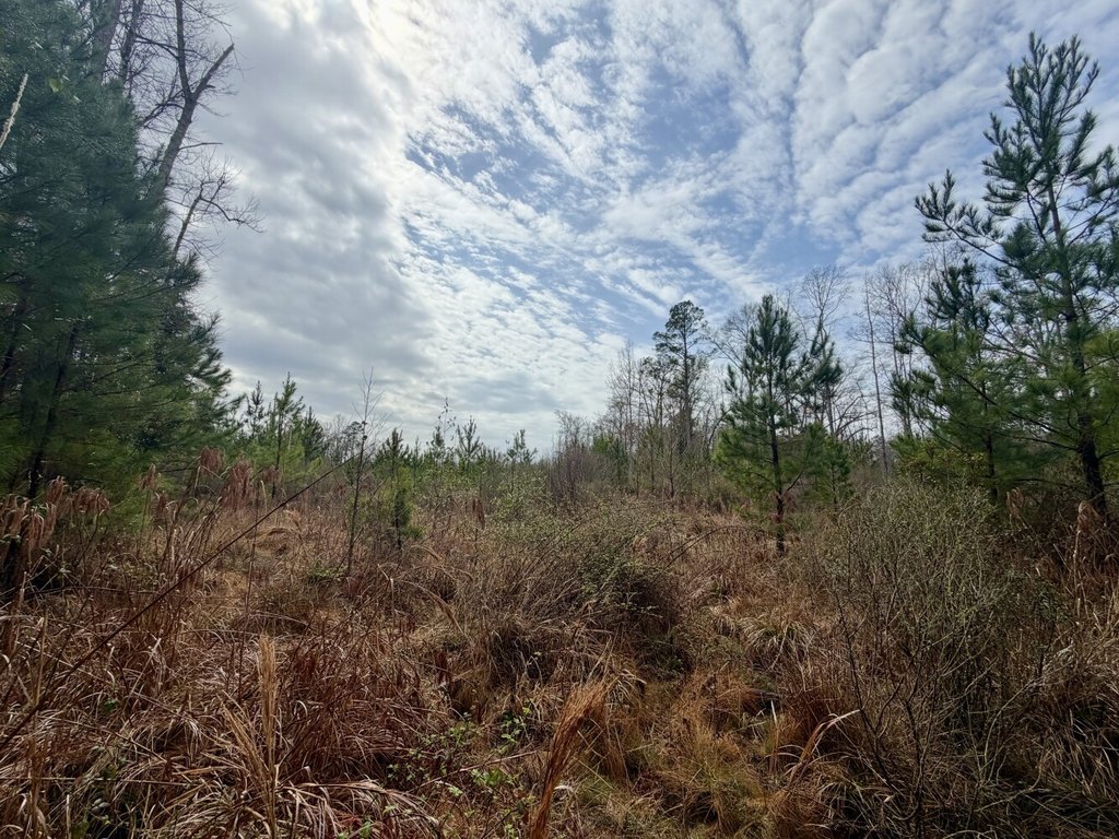 Picture 30