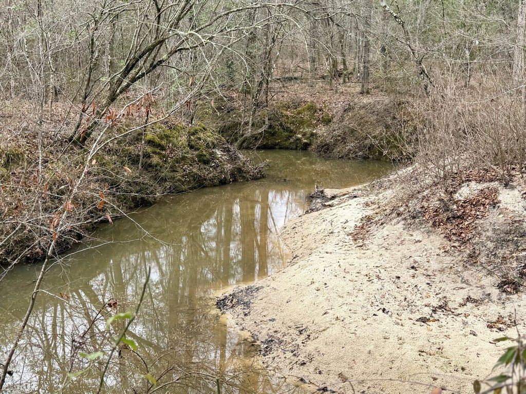 Picture 39