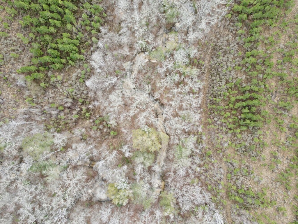 Picture 22