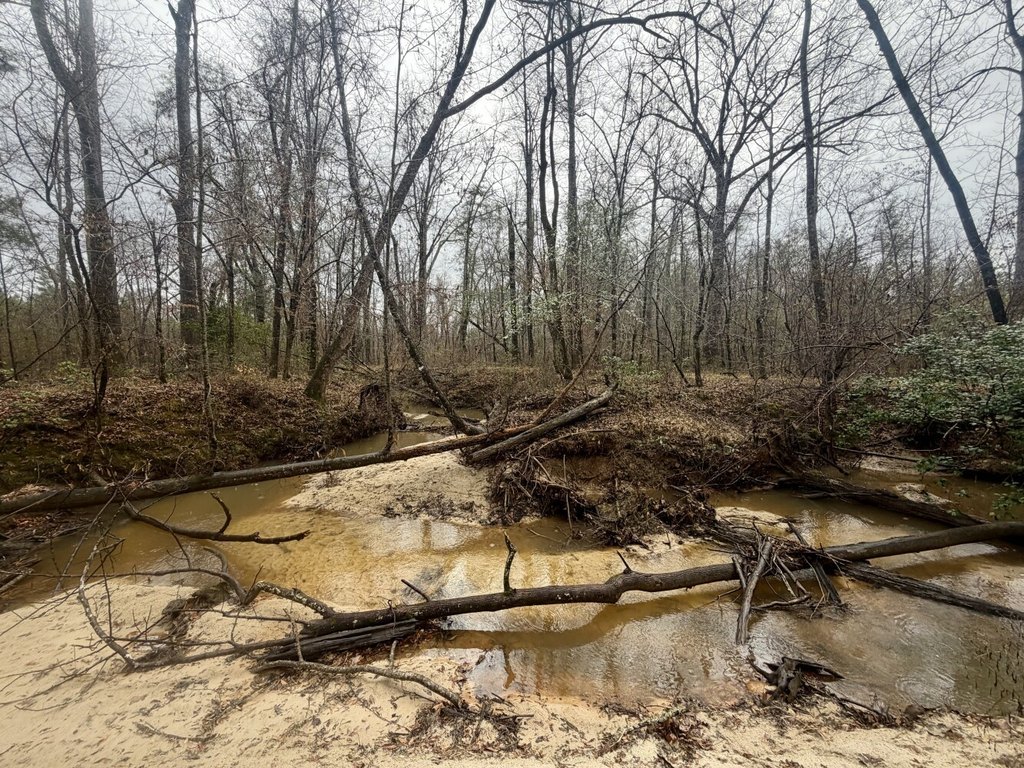 Picture 41