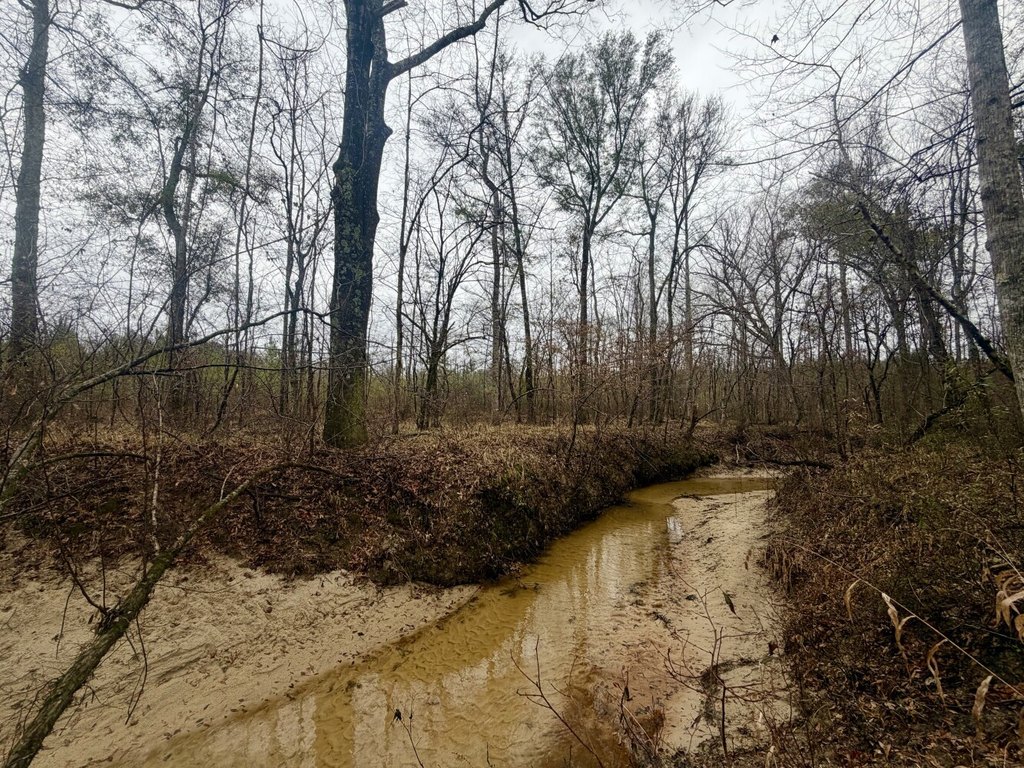 Picture 43