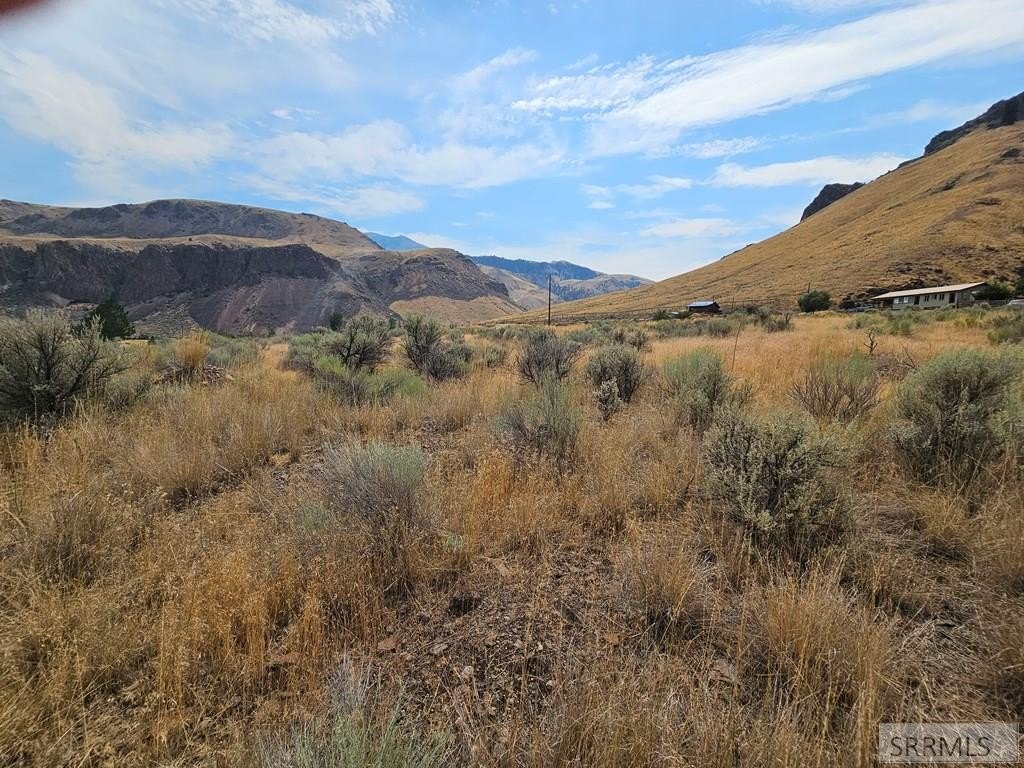 Picture 24