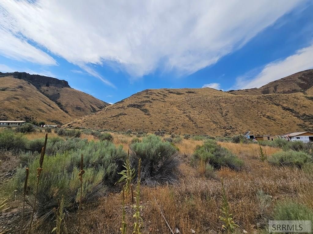 Picture 27