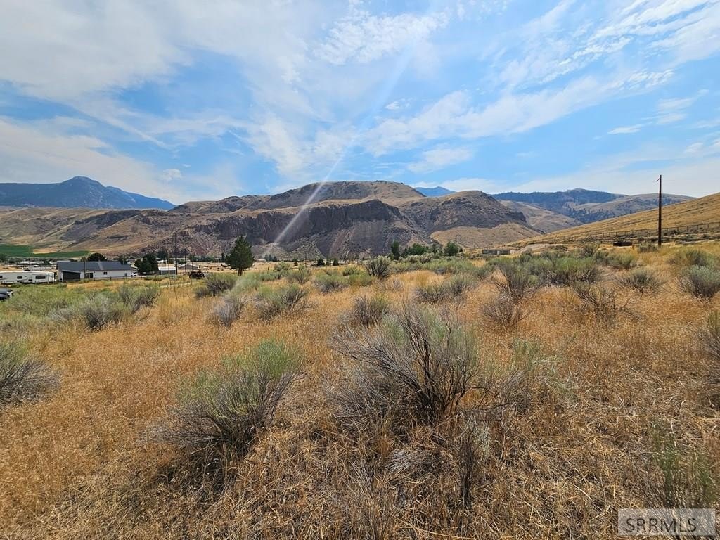 Picture 11