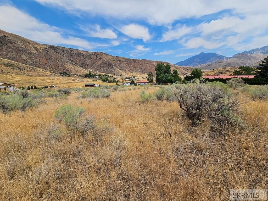 Picture 19