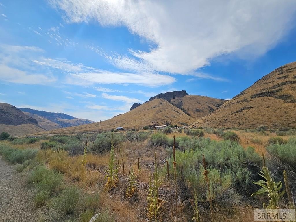 Picture 28