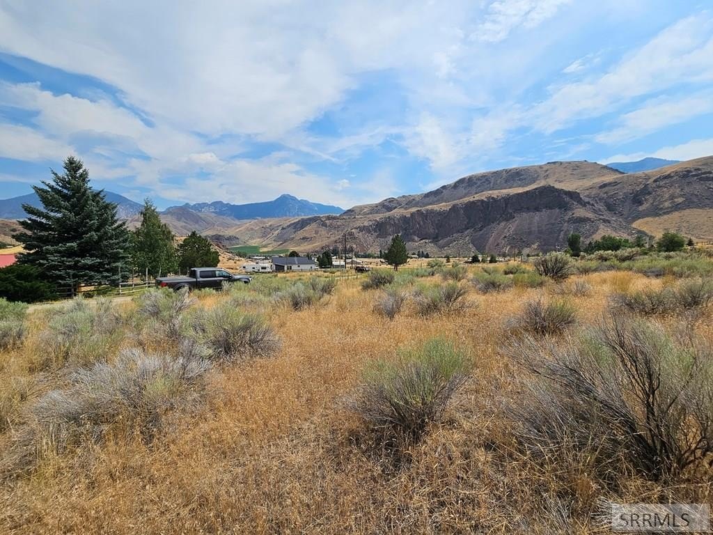 Picture 10