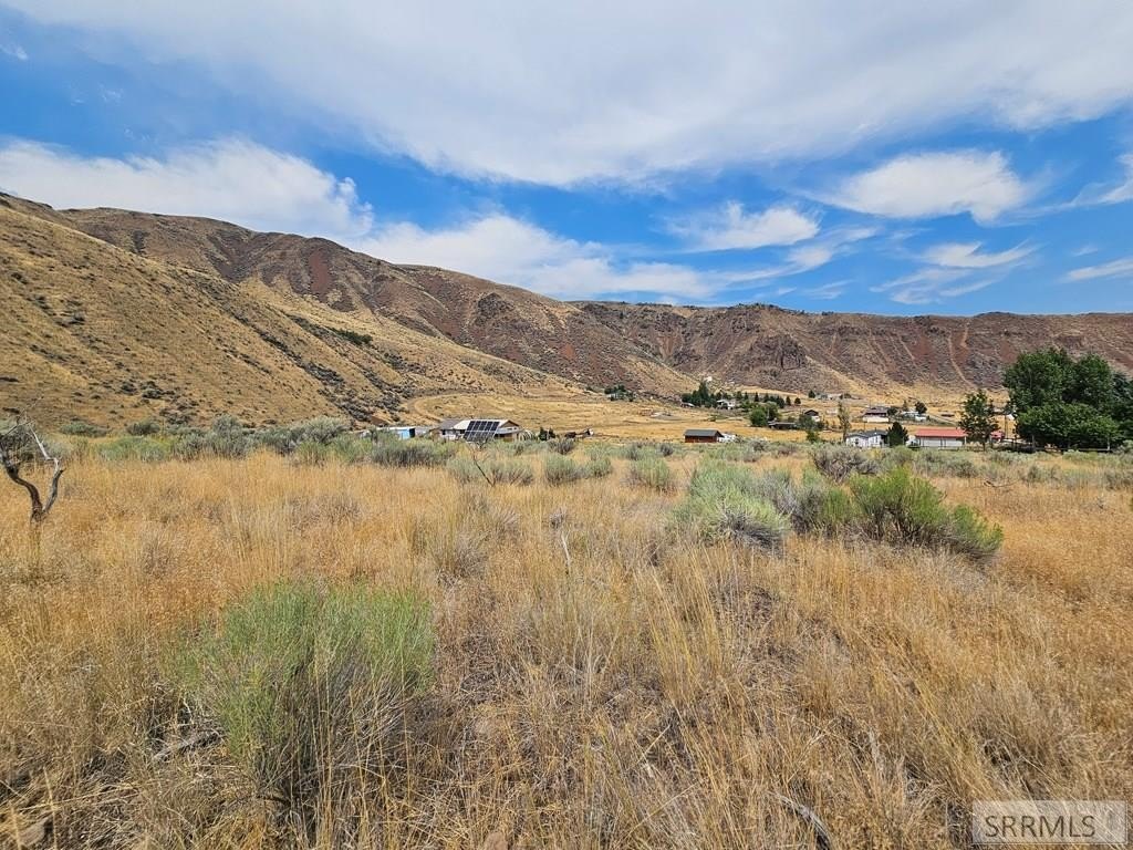 Picture 15