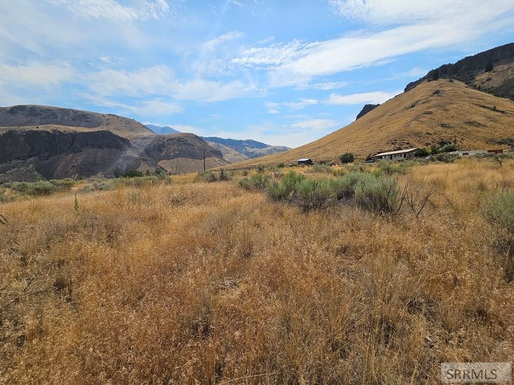 Picture 21