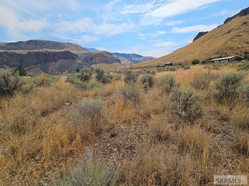 Picture 23