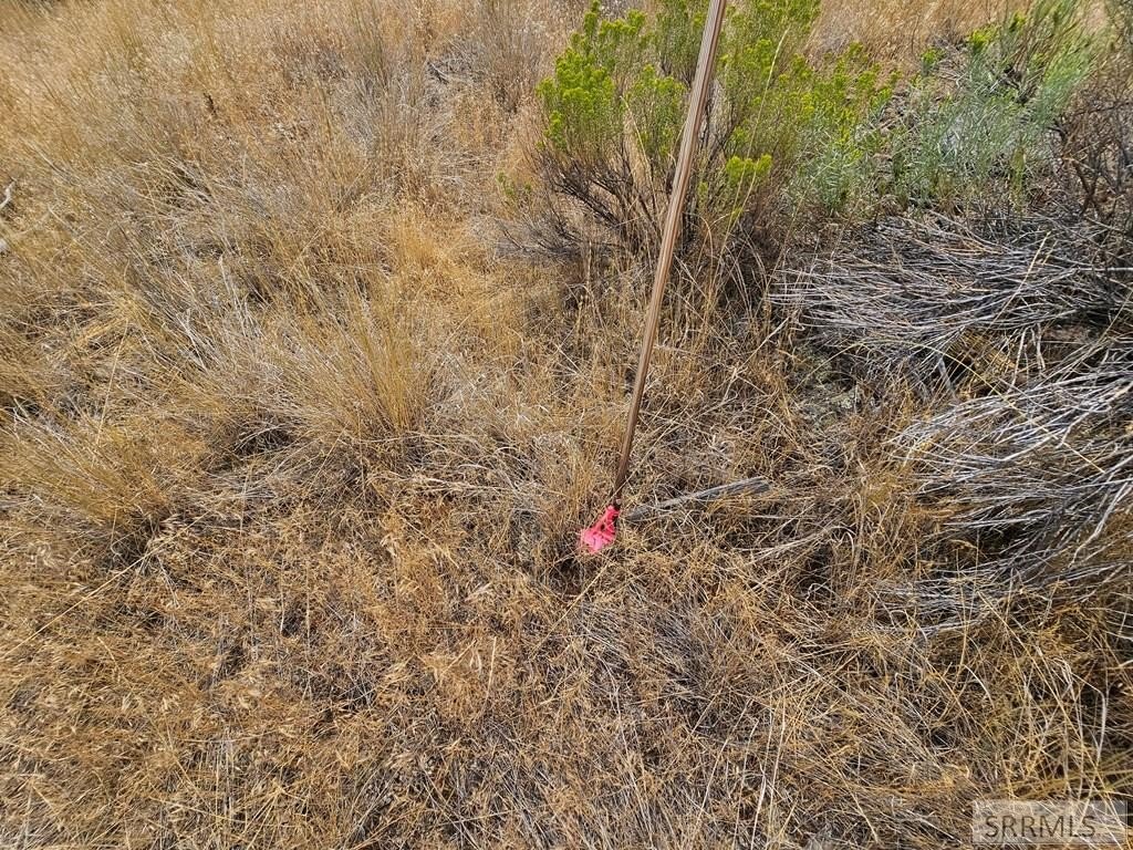 Picture 13