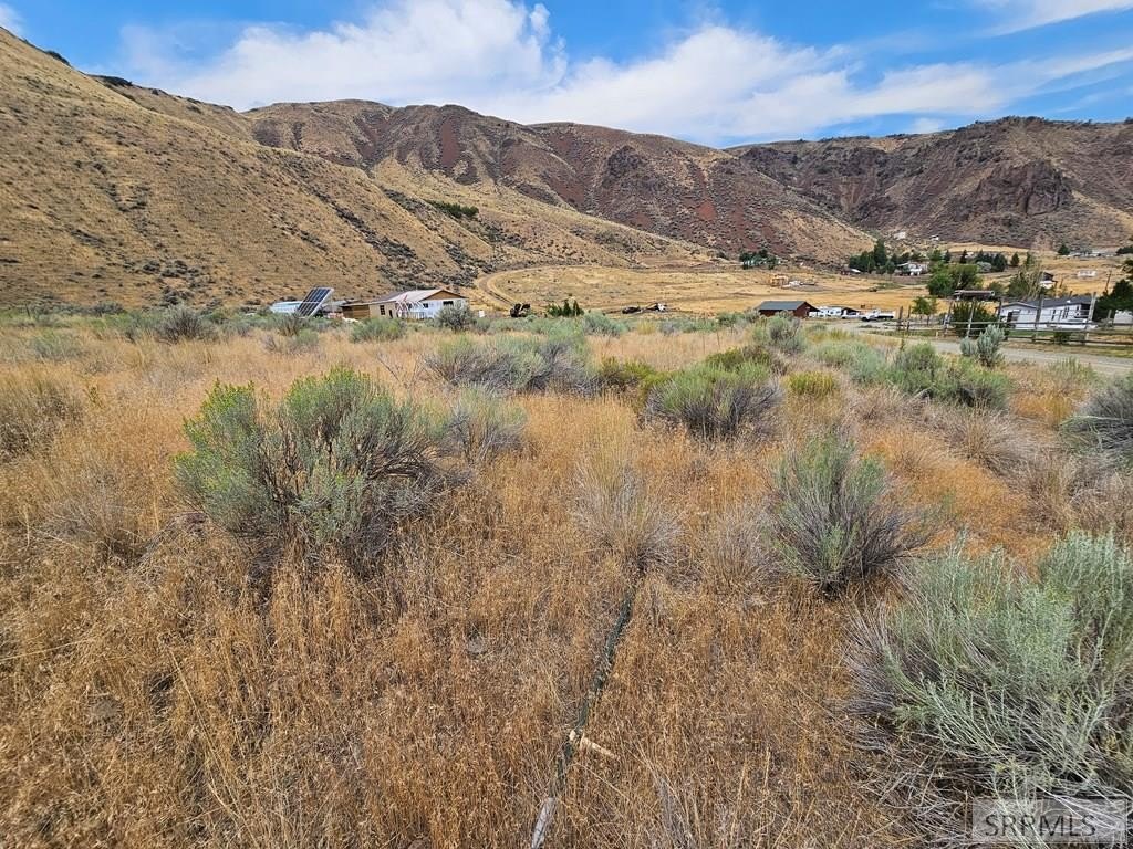 Picture 25
