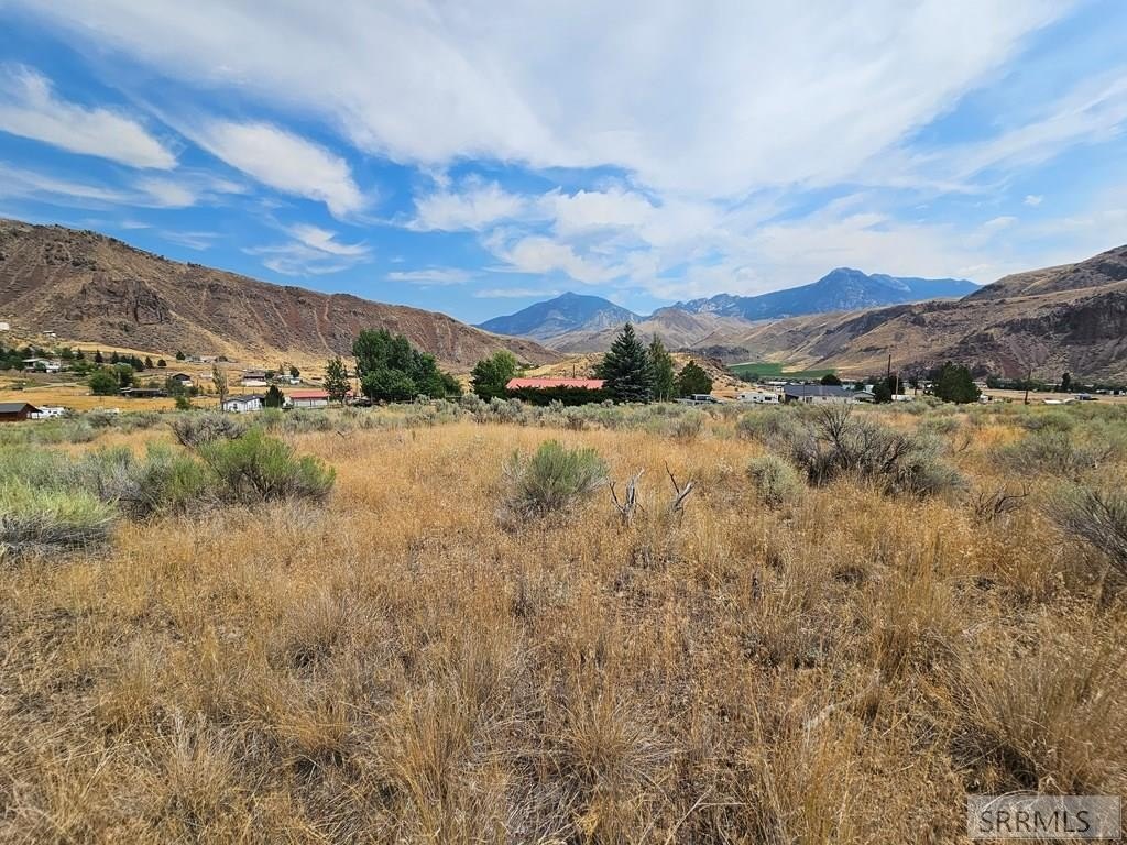 Picture 16
