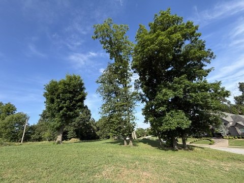 LAND - Bentonville, AR