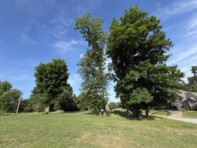 Picture 5