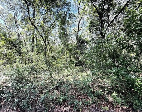 Land, DUNNELLON, FL