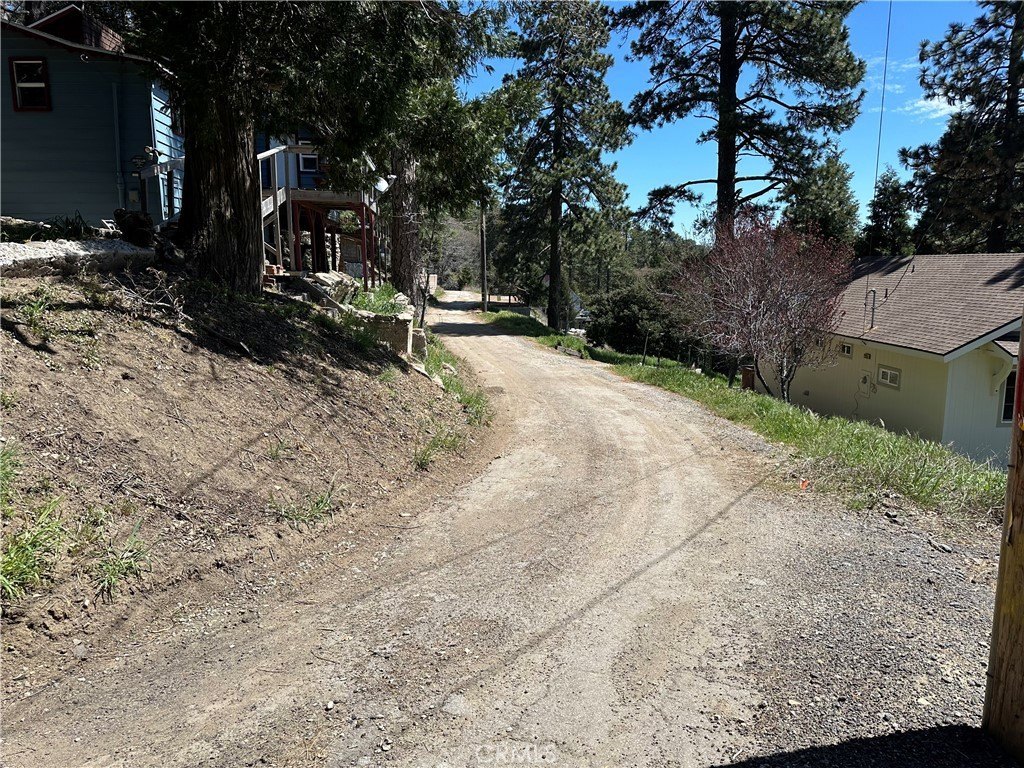 Picture 5