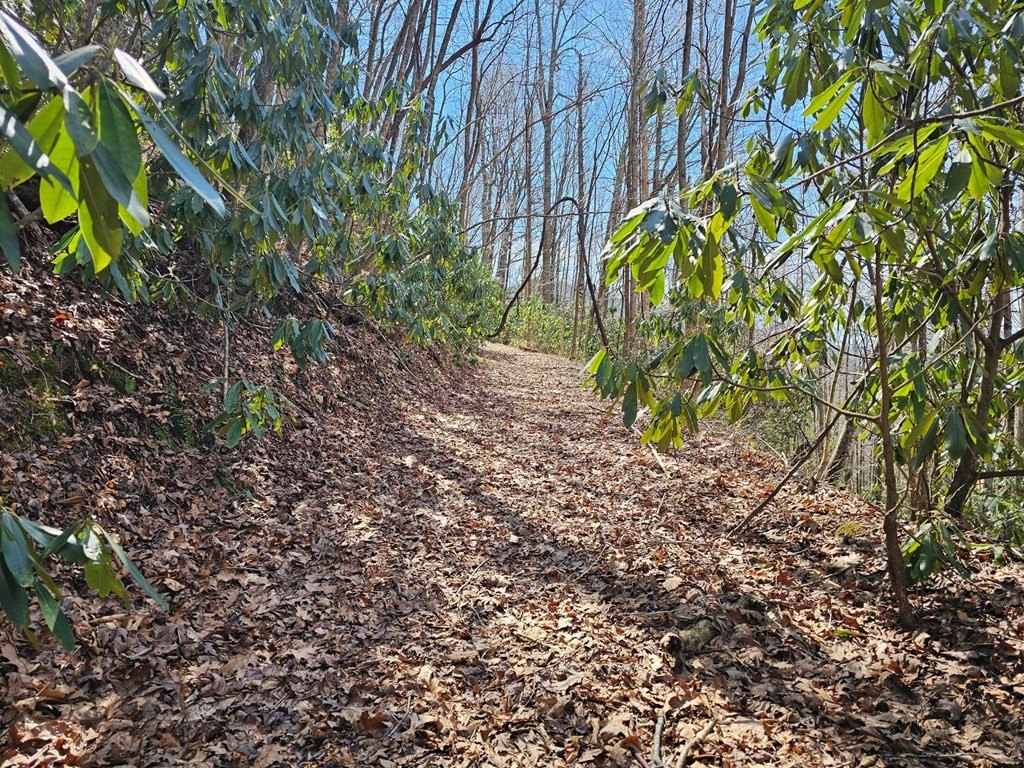 Picture 2