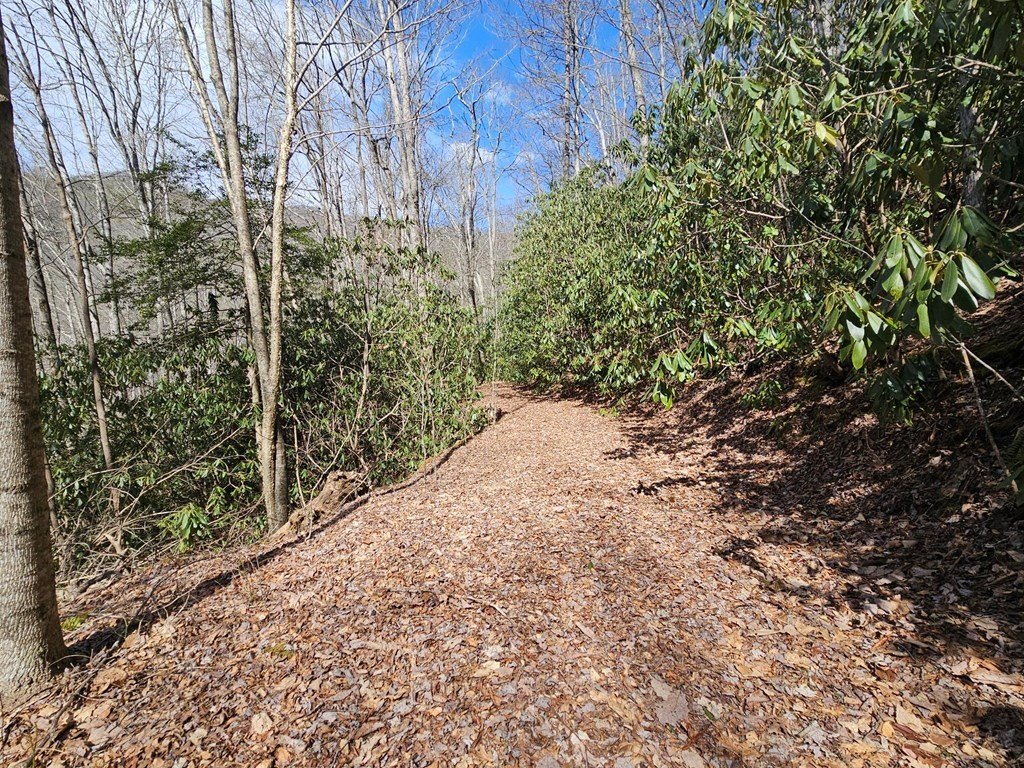 Picture 9
