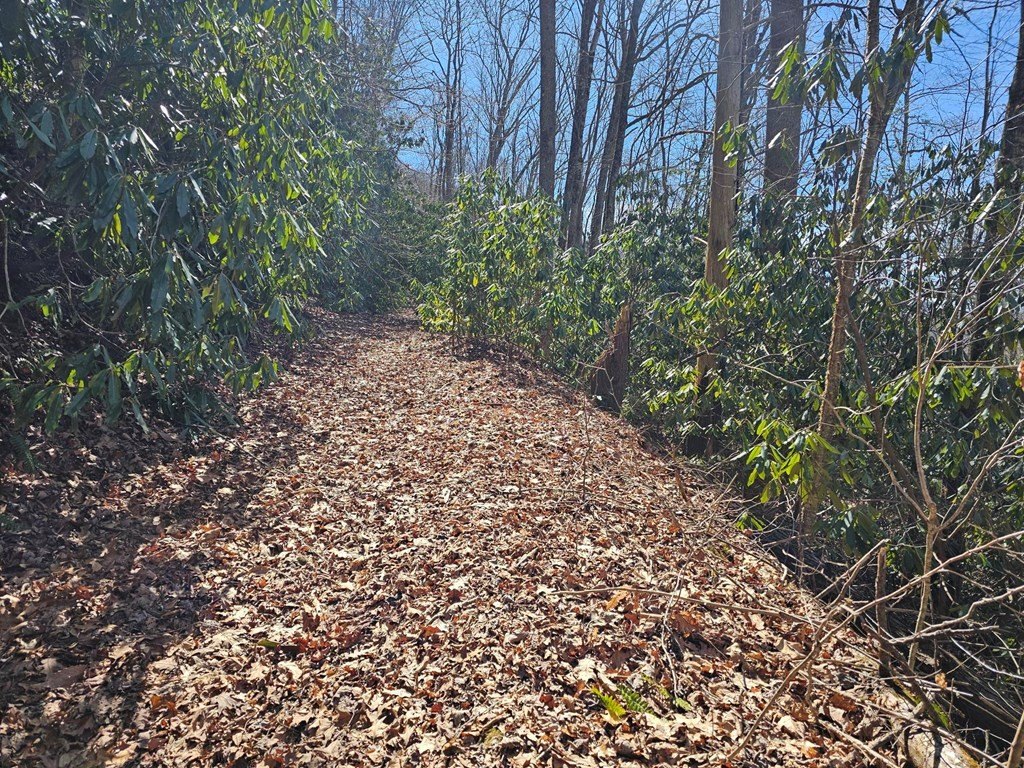 Picture 4