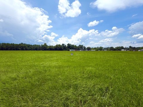 LAND - Willacoochee, GA