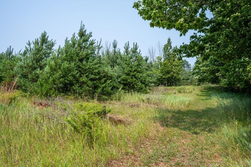 Picture 6