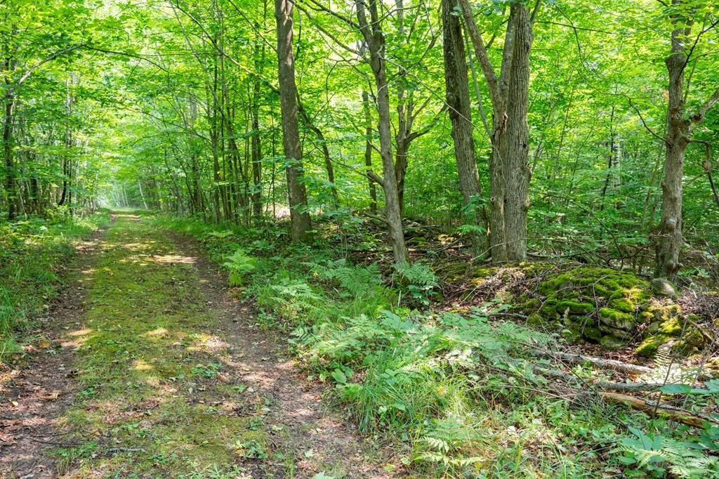 Picture 29