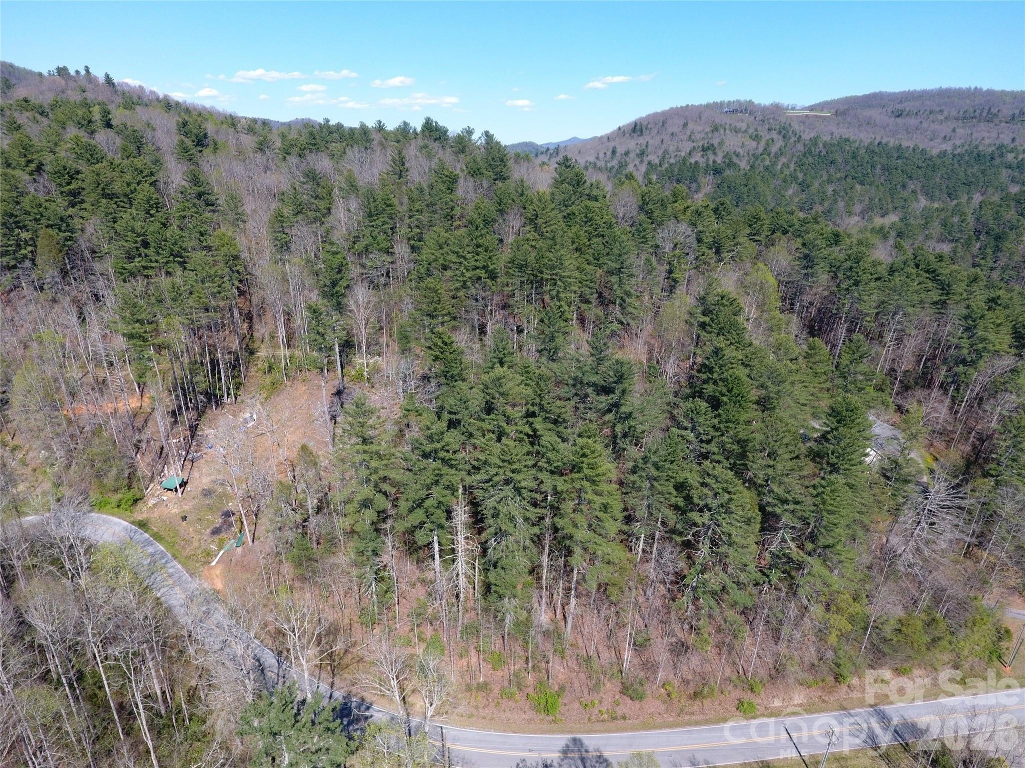 Wooded Lot with Mountain Views