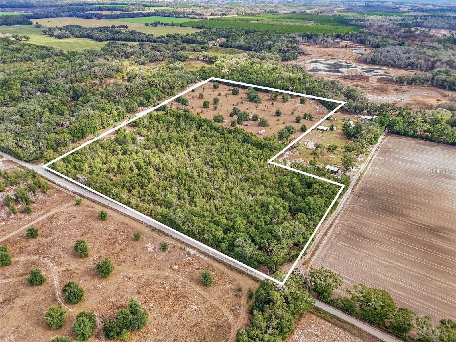 27-Acre Gilchrist County Land Parcel