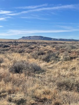 Vacant Land in Historic Galisteo