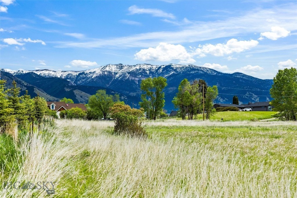 Picture 24