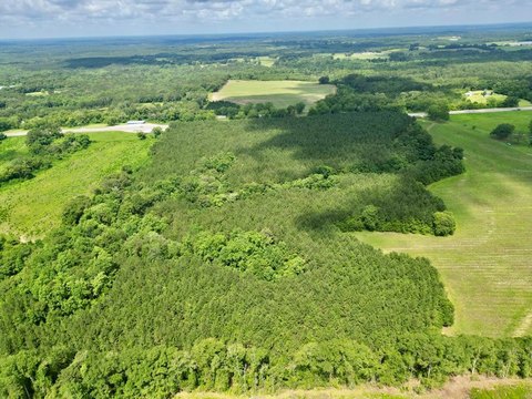 8.61 Acres Homesite in Brundidge