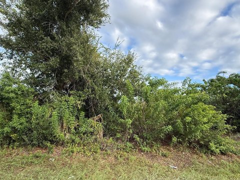Land, PORT CHARLOTTE, FL