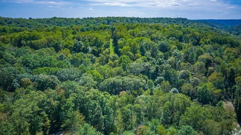 Wooded Acreage Near Hocking Hills