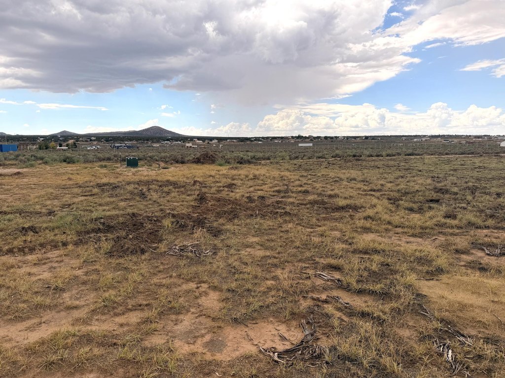 Picture 26