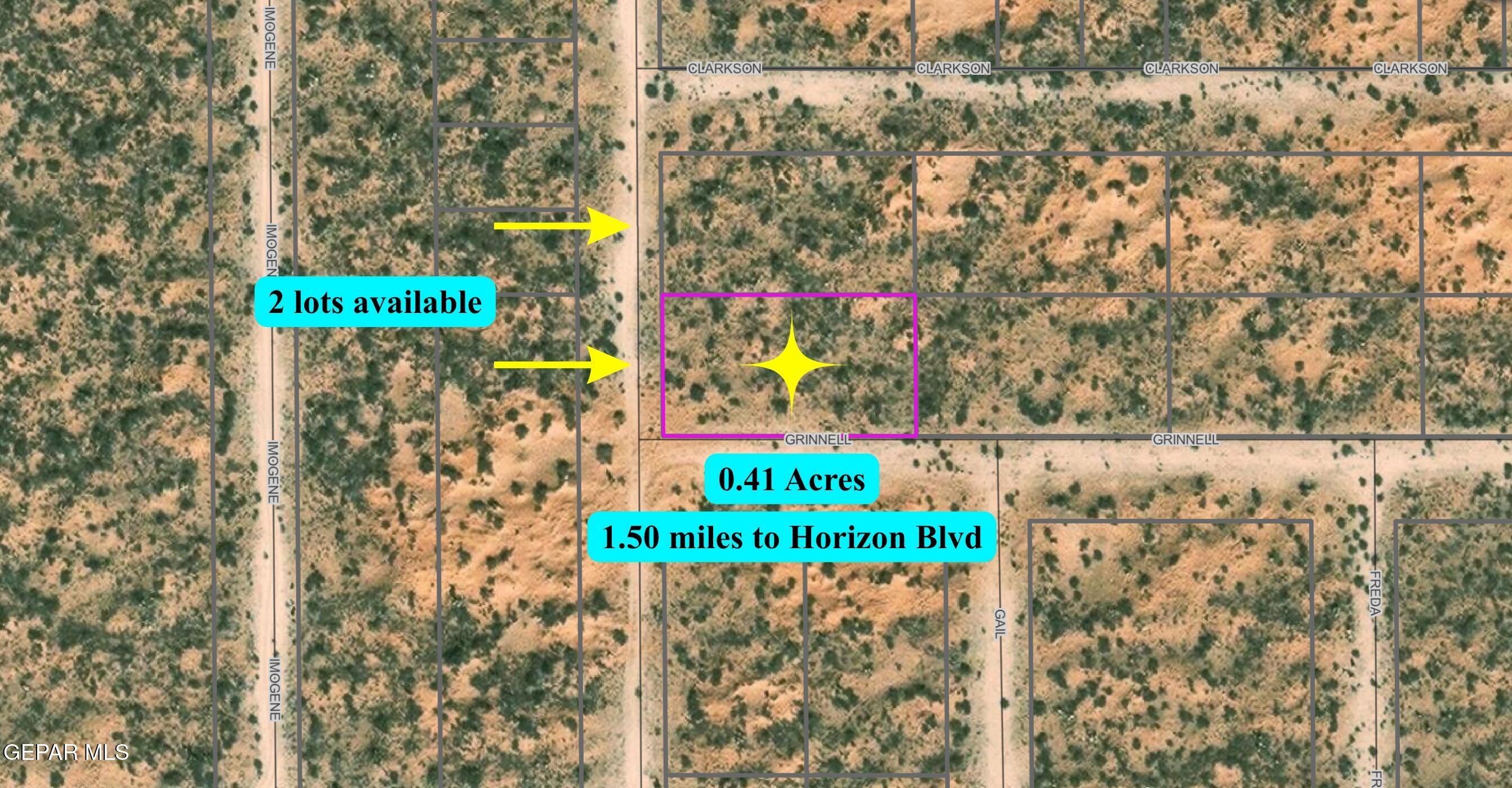 Horizon City Land For Sale
