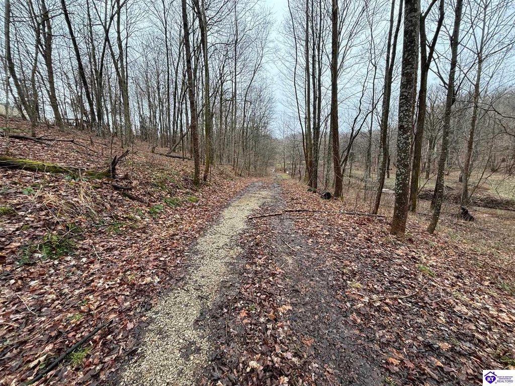 Picture 17