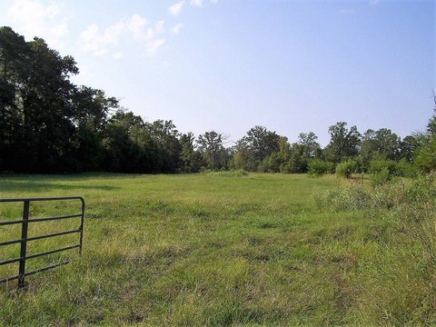LAND - Ashdown, AR