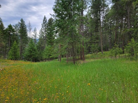 Residential Land with Cleared Building Site