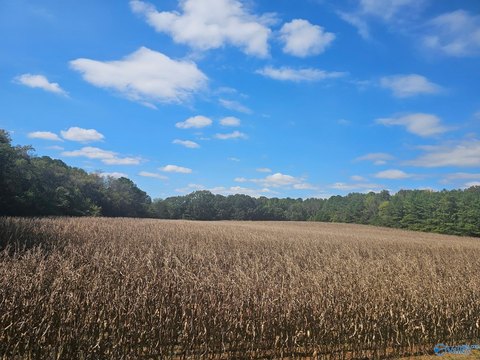 Land, Triana, AL