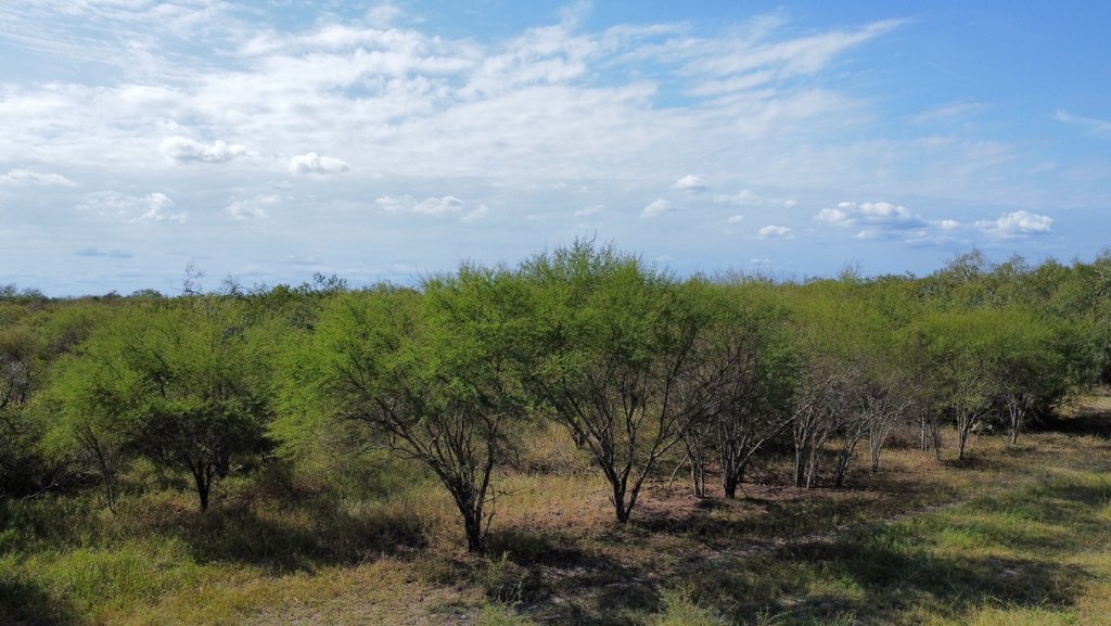 Picture 16