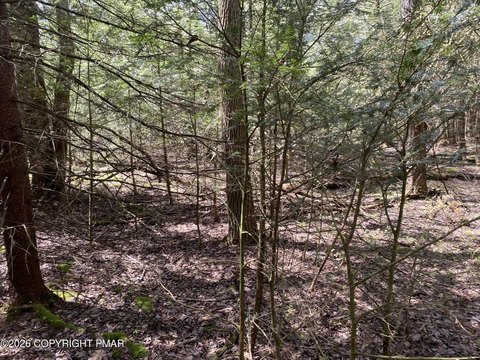 Land, Pocono Summit, PA