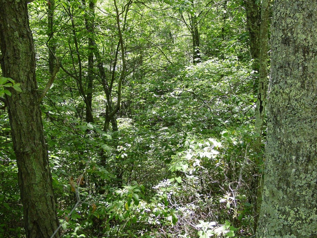 Picture 4