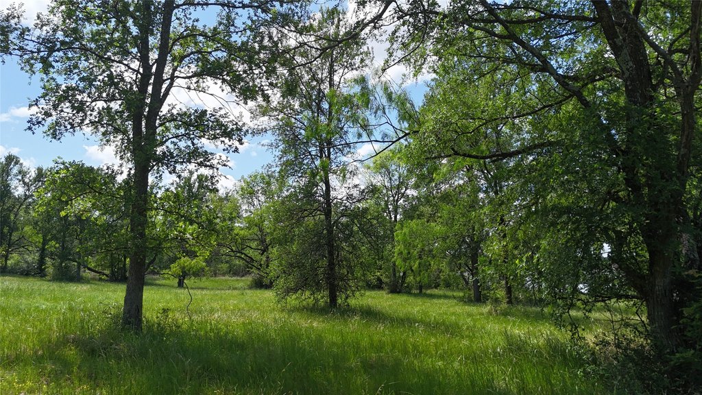 Picture 14