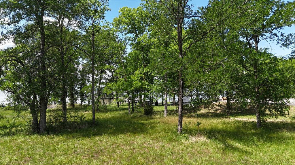 Picture 11