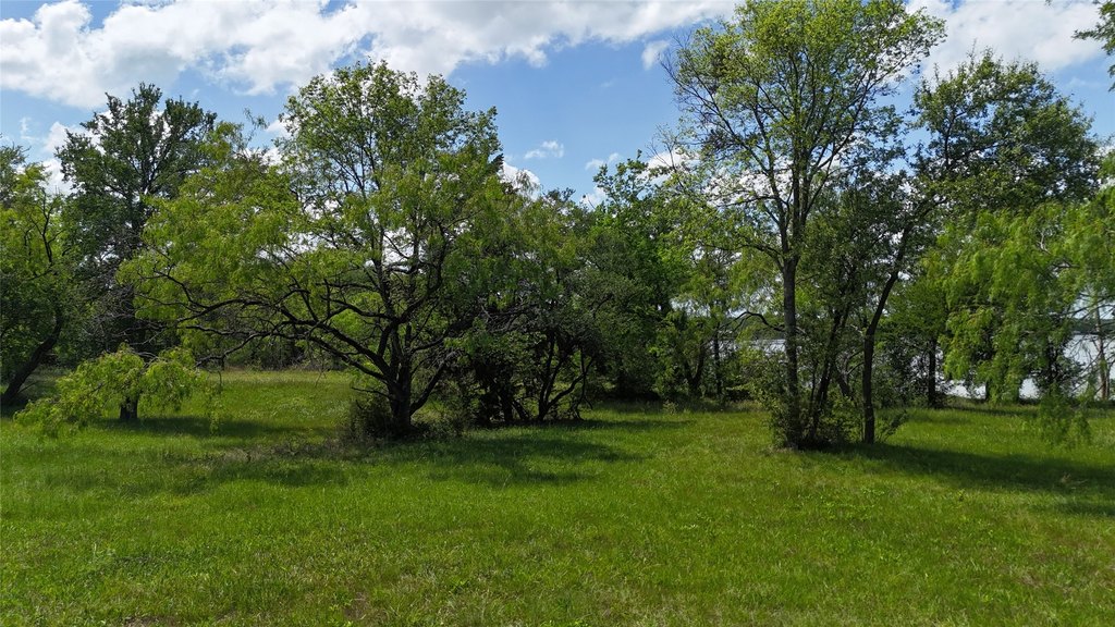 Picture 18