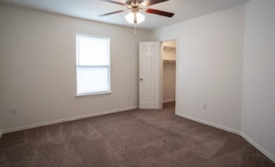 Picture 32