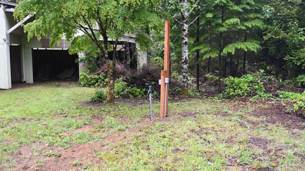 Picture 6