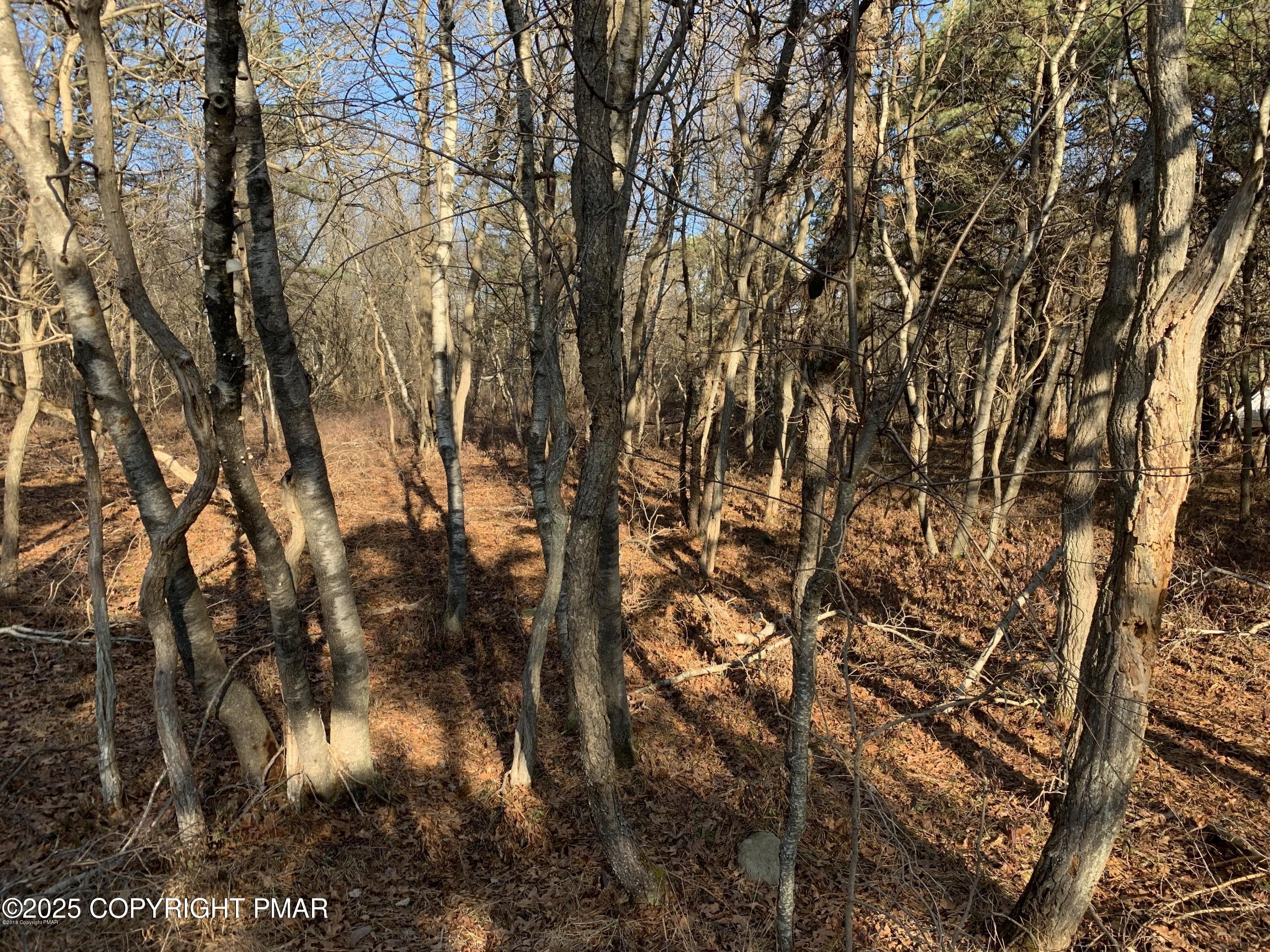 Residential Land in Albrightsville, PA