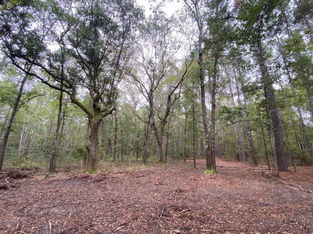 Picture 38